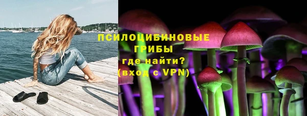 прущие крисы Богородицк