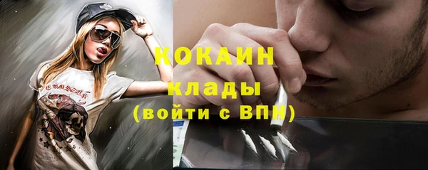 эйфоретик Богданович