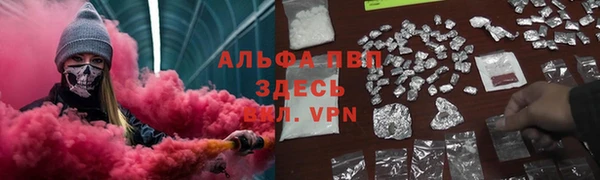 эйфоретик Богданович