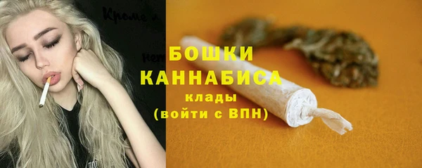 эйфоретик Богданович