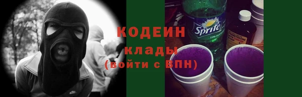 эйфоретик Богданович