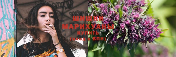 эйфоретик Богданович
