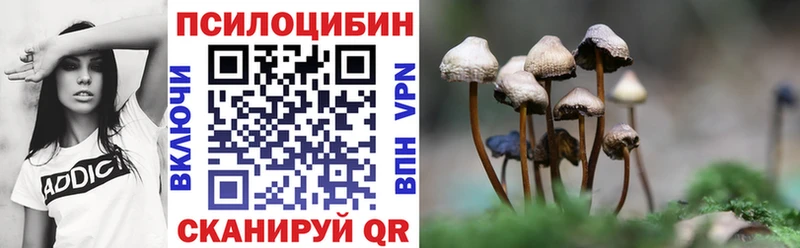 Купить где  Абдулино  Галлюциногенные грибы Cubensis 